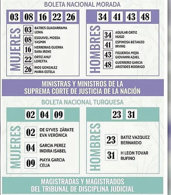 ¡ORDENA INE DETENER ACORDEÓN DIGITAL! - A PARTIDOS Y FUNCIONARIOS