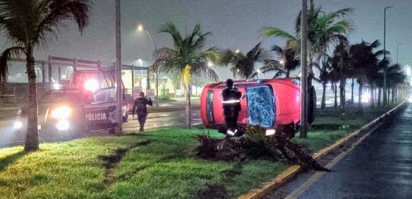 ¡VUELCA Y CHOCA CONTRA PALMERAS EN LA RIVIERA VERACRUZANA!