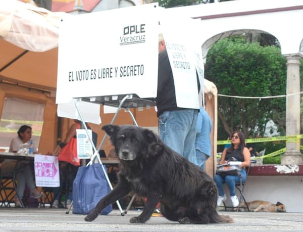 ¡70% DE ABSTENCIONISMO!