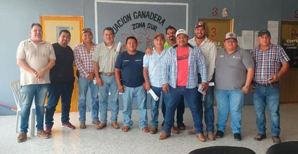 ¡GUSANO BARRENADOR!