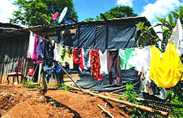 ¡NI CANASTA BÁSICA! - PURAS PÉRDIDAS