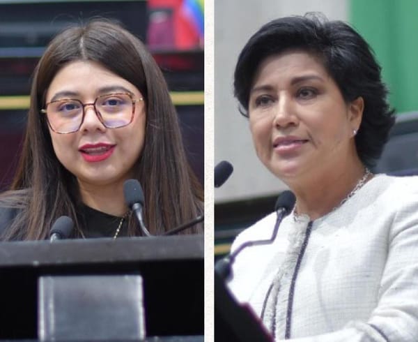 ¡DEUDORES ALIMENTARIOS NO PUEDEN TENER CHAMBAS EN EL GOBIERNO!