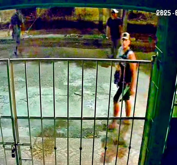 ¡‘JAULEROS’ MERODEAN VIVIENDAS EN RÍO MEDIO!