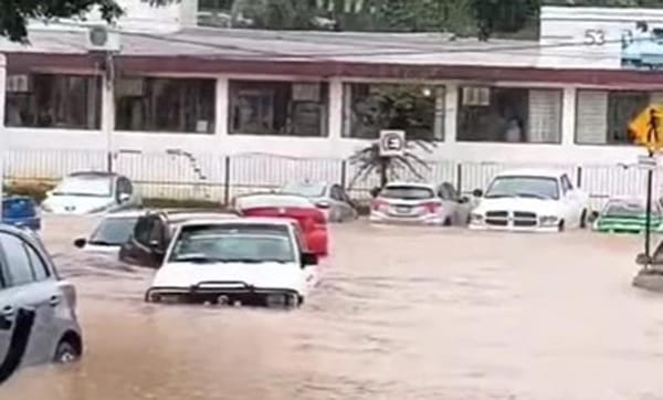 ¡PEGA RE’FEO! - AY NANITAS