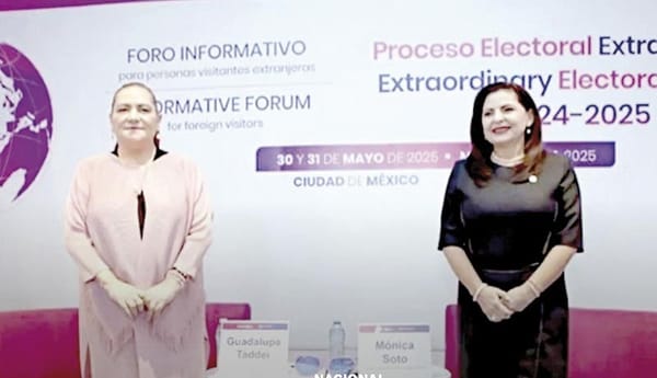 ¡SELECCIONA INE 1,644 CASILLAS! - CON LUPA