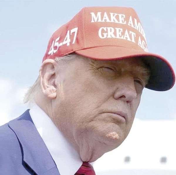 ¡TRUMP DICE QUE SOLO BUSCA DEPORTAR A CRIMINALES! - NO QUIERE "QUE LAS GRANJAS QUIEBREN"