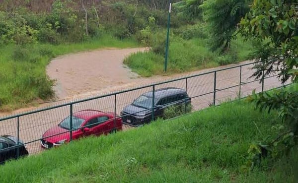 ¡NO LES CANCELARON! - A LOS ALUMNOS DE FCAS DE LA UV