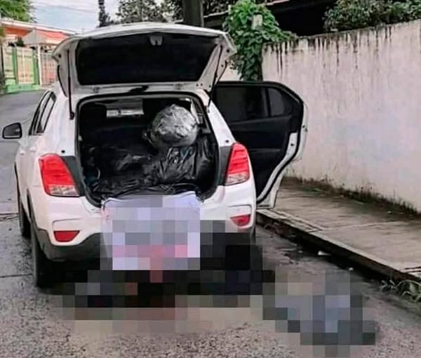 ¡ENCUENTRAN CAMIONETA CON VARIOS CUERPOS DESCUARTIZADOS!