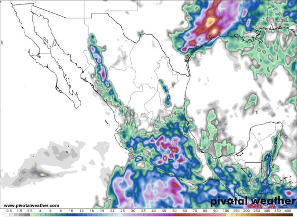 ¡REBASA LOS 40 GRADOS EL CALOR!