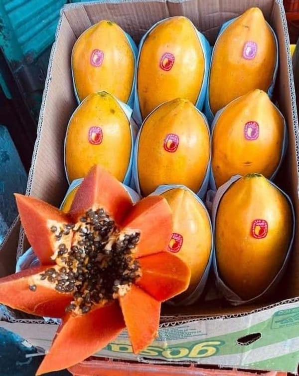 ¡SALVADOS! - NO HABRÁ ESTANFLACIÓN