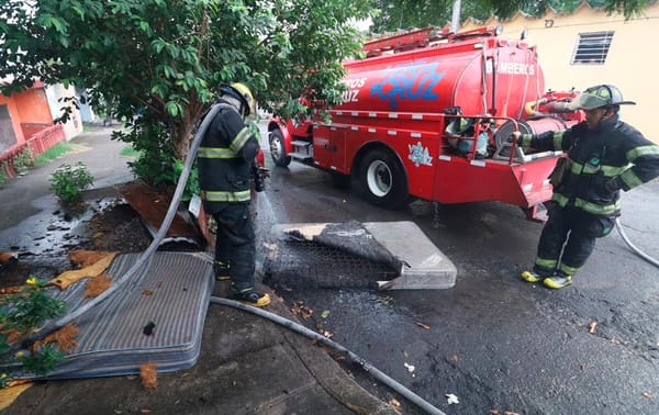 ¡MUEREN 7 PERIQUITOS AUSTRALIANOS Y RESCATAN PERRITA DE INCENDIO!