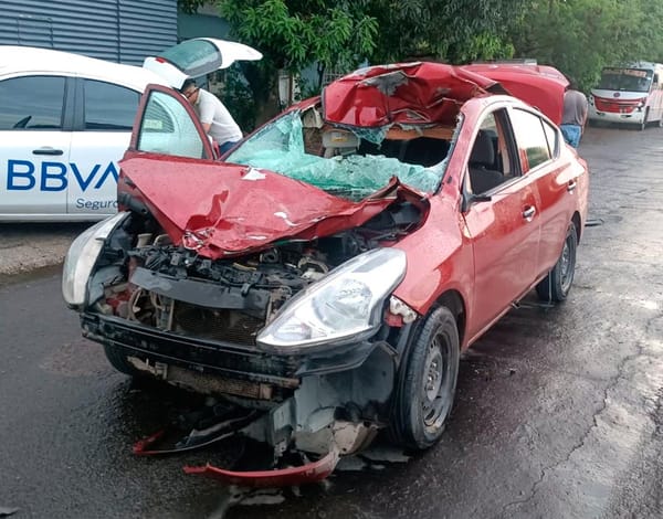 ¡CONDUCTOR MATÓ A CABALLO!