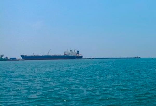 ¡SE BLANQUEAN LOS CORALES POR EL CALENTAMIENTO DEL MAR!