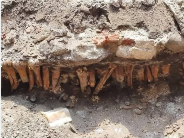 ¡SÍ SON HUESOS DE RES Y RESTOS DEL CUARTEL MILITAR!