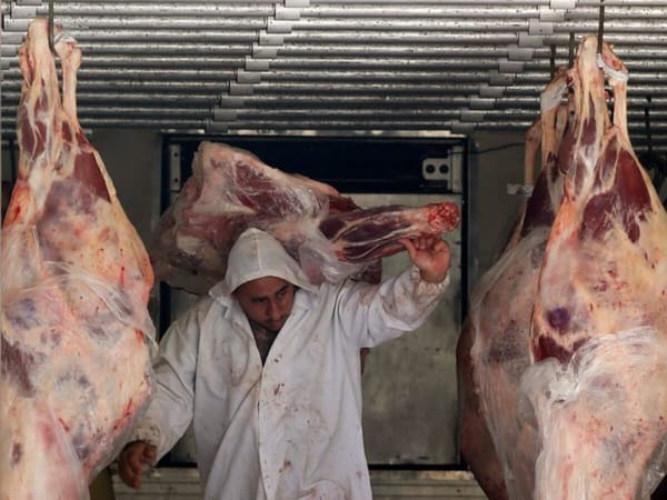 ¡PISTOLEROS ROBAN TRÁILER CON 20 TONELADAS DE CARNE CONGELADA!