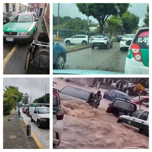 ¡XALAPA REBASA 800 MIL VISITANTES!