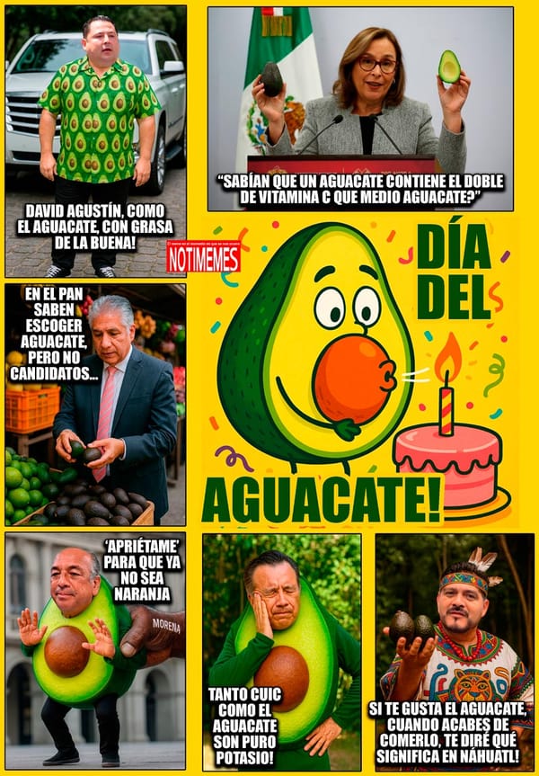 NOTI-MEME | - DÍA DEL AGUACATE!