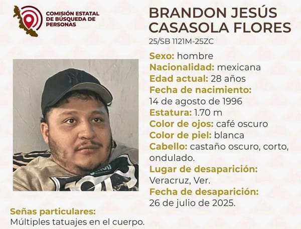 ¡DESAPARECEN  DOS HERMANOS GEMELOS!