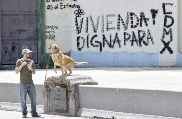 ¡EU ALERTA A SUS CIUDADANOS EN CDMX POR MARCHA CONTRA LA GENTRIFICACIÓN!