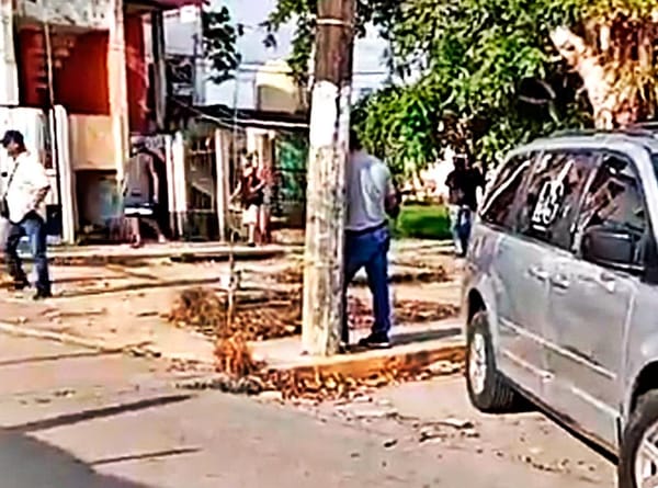 ¡ABUELITO MUERE AL CAER DE ÁRBOL QUE PODABA!