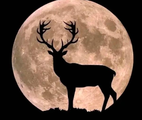 ¡LUNA DE CIERVO Y LLUVIAS DE METEOROS!