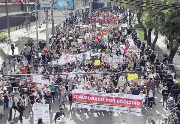 ¡MARCHAN CONTRA LA GENTRIFICACIÓN! - Y TERMINAN EN VANDALISMO
