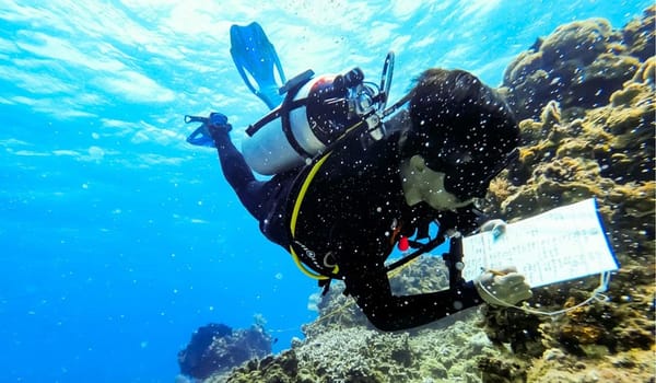 ¡SOS POR LOS ARRECIFES! - YA SE SUPO