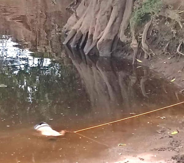 ¡MENOR DE 16 AÑOS MURIÓ AHOGADO EN RÍO DE TLALIXCOYAN!