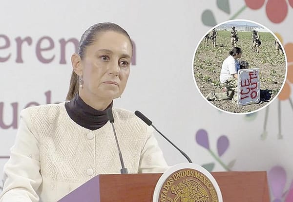 ¡VAN 355 MEXICANOS DETENIDOS EN REDADAS DE ESTADOS UNIDOS! - FEDERACION