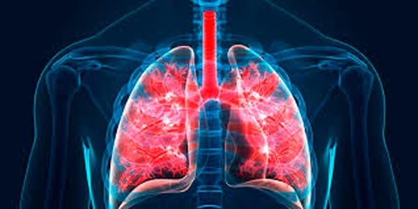 TIPS PARA MEJORAR TU CALIDAD DE VIDA | BRONQUITIS 2 - El curso de la bronquitis suele ser favorable y normalmente se cura en un par de semanas. Se recomienda tomar algún antipirético (fármaco para controlar la fiebre)...