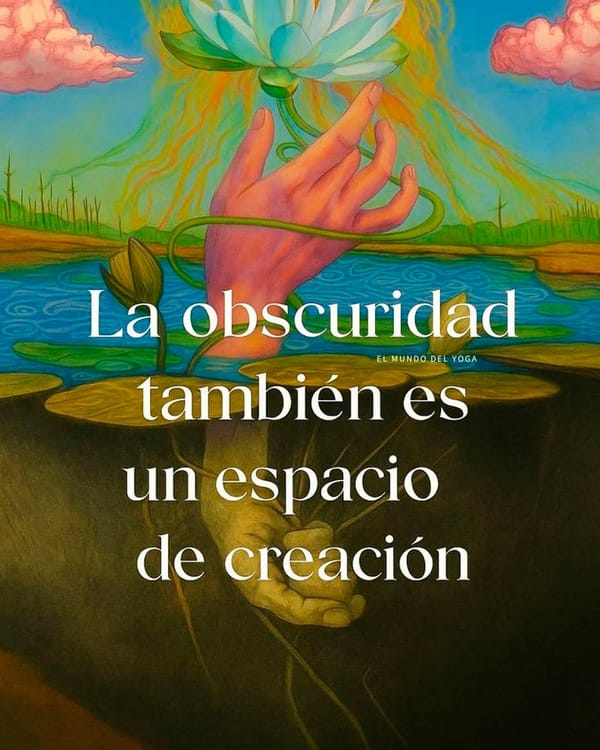 VIVIENDO CON SENTIDO | OBSERVADOR - Yo no estoy aquí para hacerte que me entiendas, yo estoy aquí para ayudarte a que te entiendas. Debes observar más de cerca tus propias acciones, tus relaciones, tus estados de ánimo...