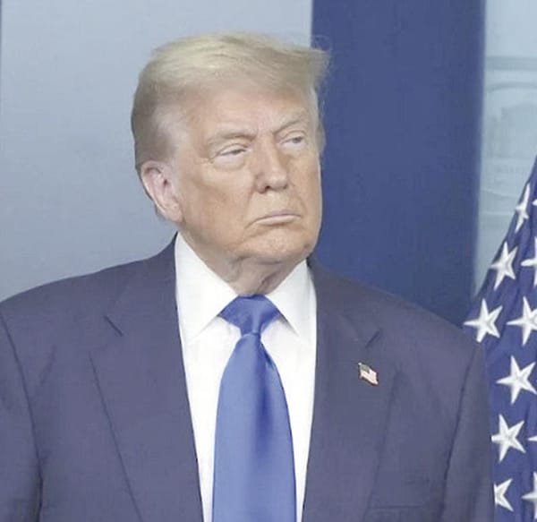 ¡TRUMP SABÍA DESDE MAYO QUE SU NOMBRE FIGURABA VARIAS VECES EN LOS ARCHIVOS EPSTEIN: WSJ