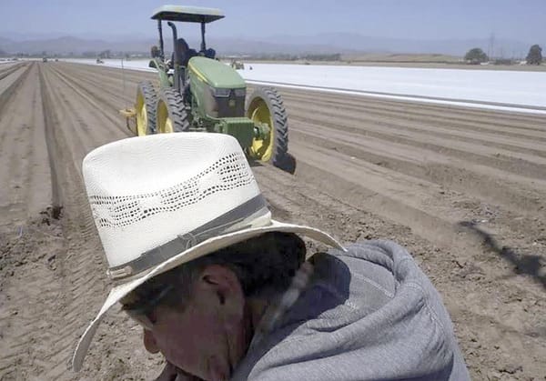 ¡DEJAN REDADAS COSECHAS SIN RECOGER Y GRANJAS EN PELIGRO!