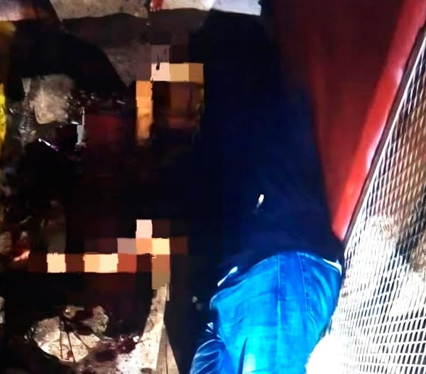 ¡LE QUITARON LA VIDA A PLOMAZOS!