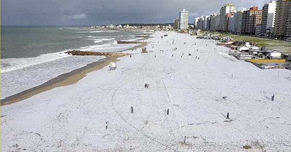 ¡REGISTRA ARGENTINA -1.9 GRADOS, LA MÁS BAJA DESDE 1991!