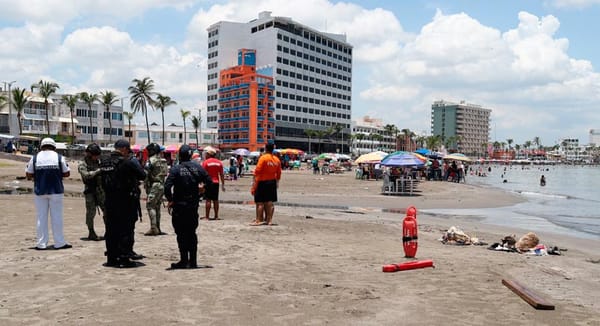¡ENCUENTRAN EN PLAYA REGATAS BOLSAS CON ANIMALES MUERTOS!