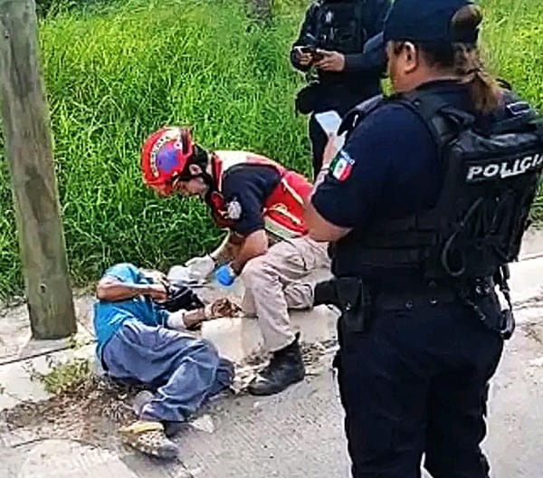 ¡GOLPEAN Y NAVAJEAN A ABUELITO JARDINERO!