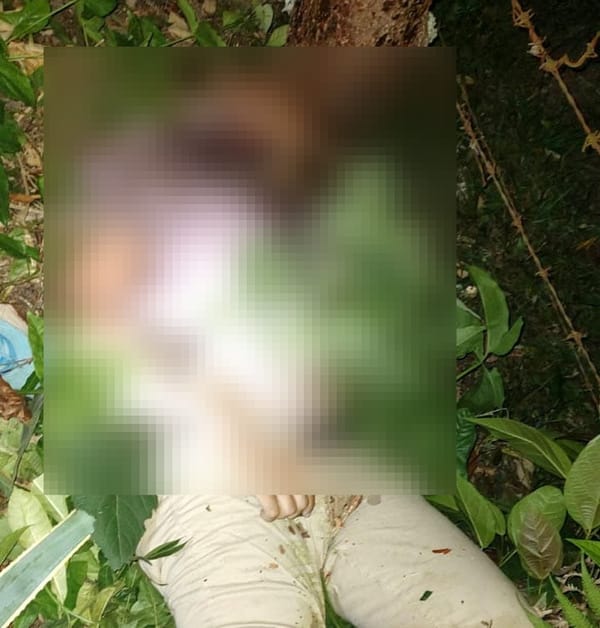 ¡SE MATÓ MILITAR DE LA DEFENSA EN MOTOCICLETAZO EN MISANTLA! - SE IMPACTÓ BRUTALMENTE CONTRA UN ÁRBOL