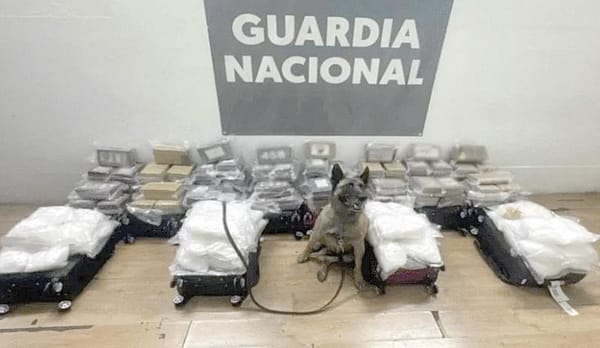 ¡ABANDONAN MALETAS CON MÁS DE 250 KILOS DE DROGA!
