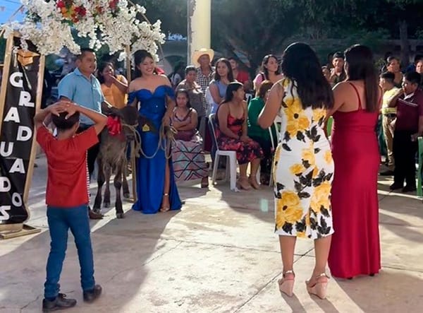 ¡LE DAN UN BECERRO! - Y SIN GUSANO