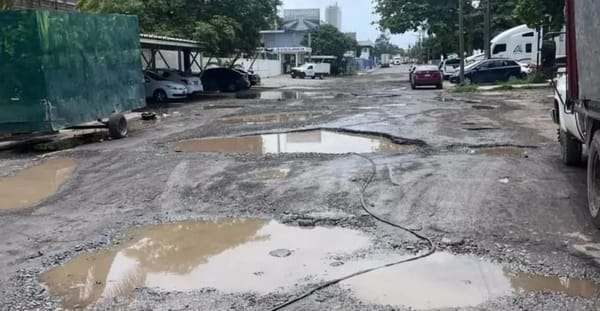 ¡AUDITORÍA A LA BRUNO PAGLIAI!