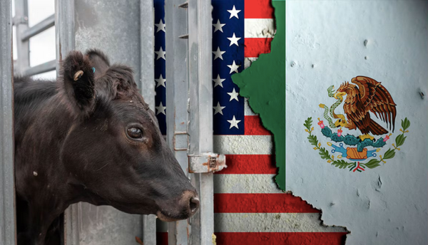 ¡“ES UNA DECISIÓN TOTALMENTE EXAGERADA”!