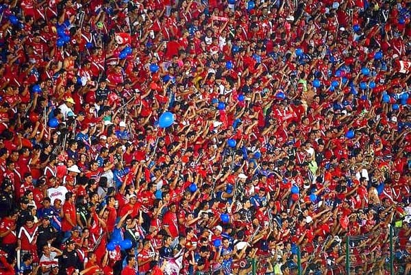 ¡BAJAN A LOS TIBURONES! - PRIMER ROUND