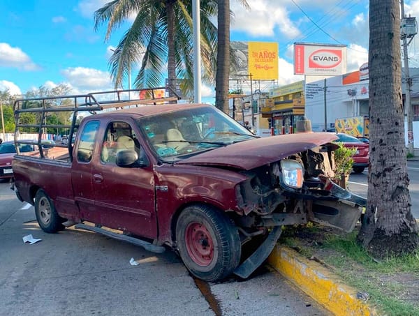 ¡SE QUEDÓ SIN FRENOS Y SE IMPACTÓ CONTRA PALMERA!