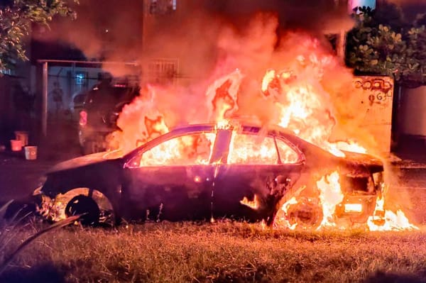¡SE CHAMUSCÓ UN BORA EN EL COYOL!