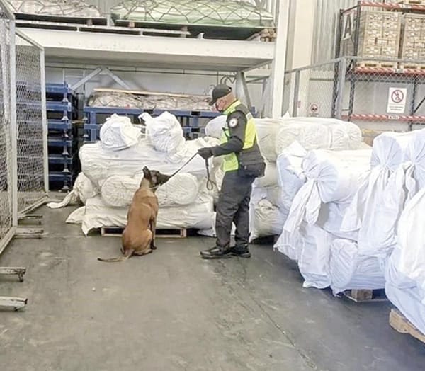 ¡ENCUENTRAN FENTANILO EN EL AIFA!