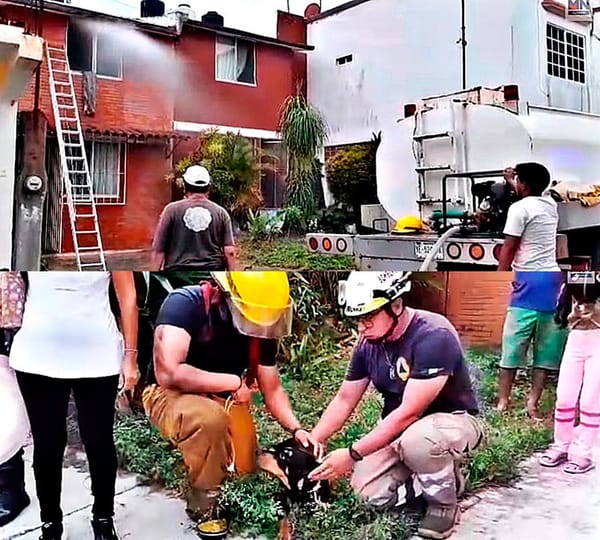 ¡SE INCENDIA VIVIENDA Y RESCATAN A PERRITO!