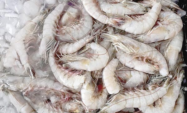 ¡WALMART RETIRA CAMARONES CONGELADOS EN EU!