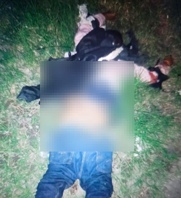 ¡ENCUENTRAN MUERTO A UN HOMBRE EN VEGA DE ALATORRE!