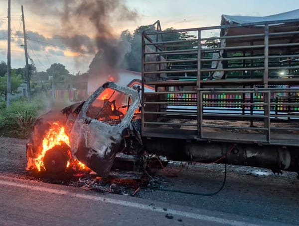 ¡FUEGO EN EL MOTOR CONSUME CAMIÓN DE CARGA EN EL MANGAL!